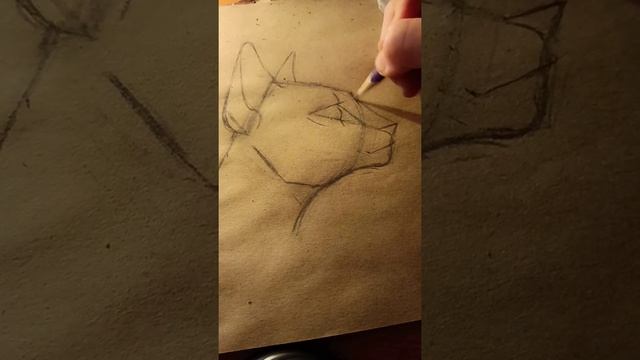 как нарисовать голову кота смотреть онлайн