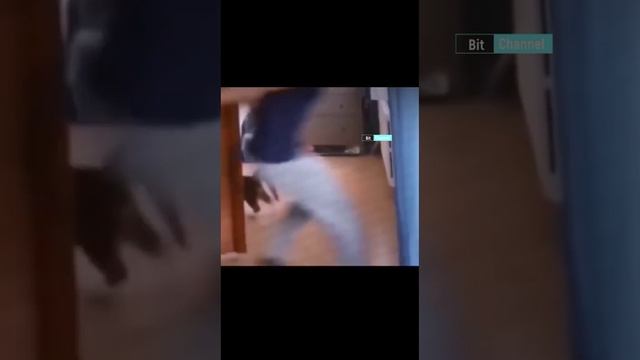 Подборка приколов для взрослых! Смотреть всем. Смешные животные в деле смотреть онлайн