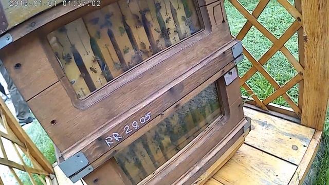 Пасека "Медом в ухо", Алтайский край смотреть онлайн
