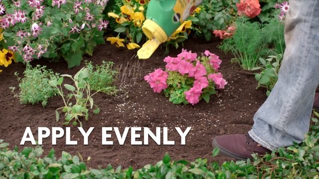 How to Grow Stronger, More Vibrant Plants Using Miracle-Gro® Shake 'n Feed® Plant Food смотреть онлайн