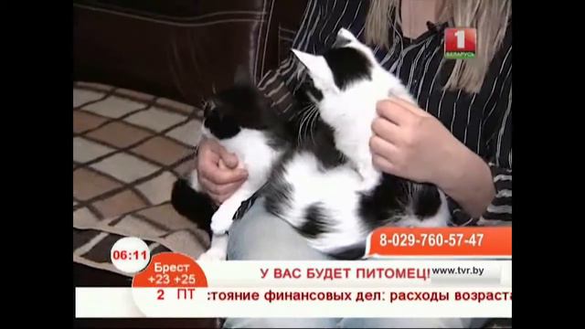 У вас будет питомец смотреть онлайн