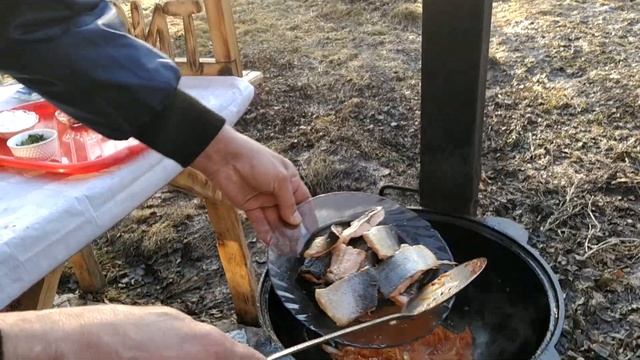 Кулинарное творчество без границ 