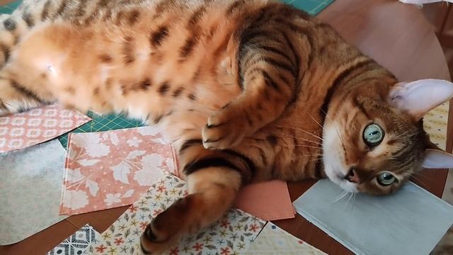 Переделка старого лоскутного одеяла в простенький винтажный квилт. смотреть онлайн