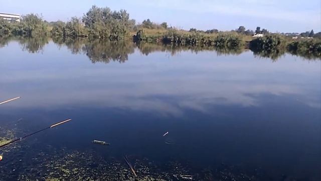 Рыбалка. Ловля солнечного окуня. смотреть онлайн