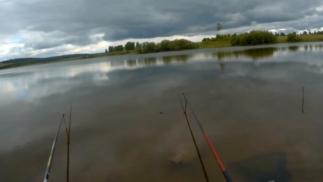 КАРАСЬ СОШЁЛ С УМА Ловля карася на удочку Летняя рыбалка СИБИРИЯ смотреть онлайн