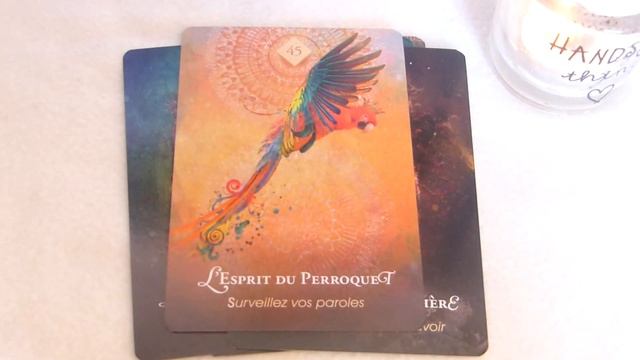 L’ORACLE DE L'ESPRIT ANIMAL DE COLETTE BARON REID смотреть онлайн
