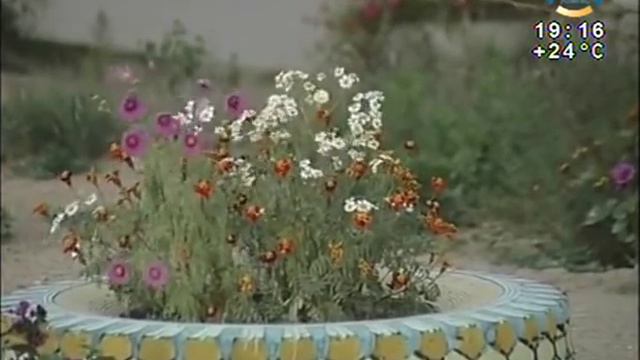 Сход жителей КСК смотреть онлайн