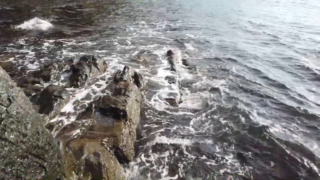 🔵Скала Киселева | «Бриллиа́нтовая рука́» | Мертвый дельфин ( смотреть онлайн