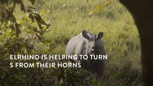 5 Incredible Eco-Friendly Innovations To Save The Earth смотреть онлайн