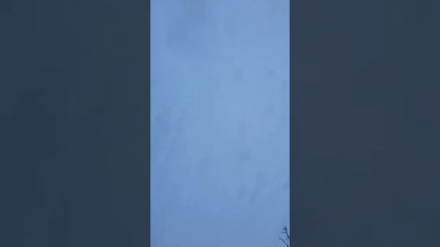 26.01.19. Аджигардак 9-ка чайник смотреть онлайн