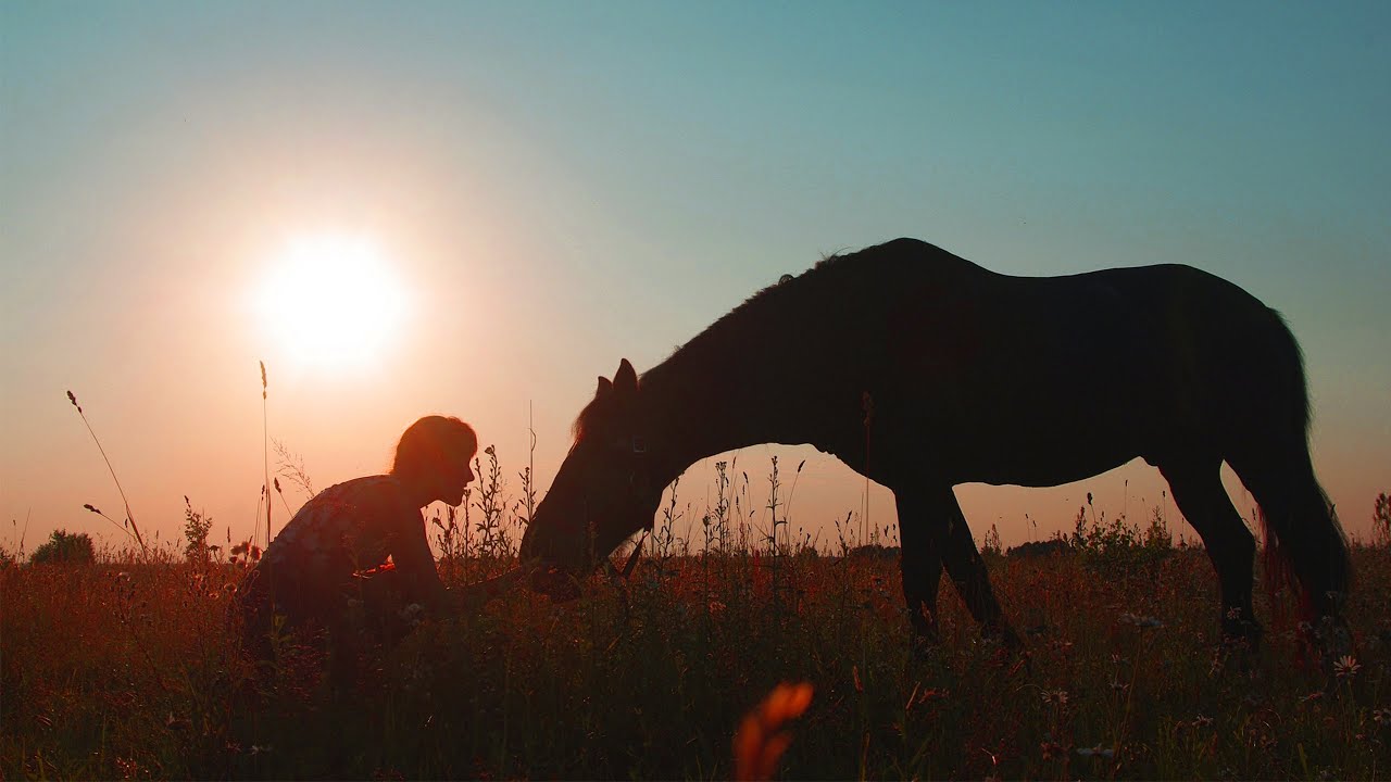 КОНЬ / Разбор на гармони по цифрам + ТРЕНЕР смотреть онлайн