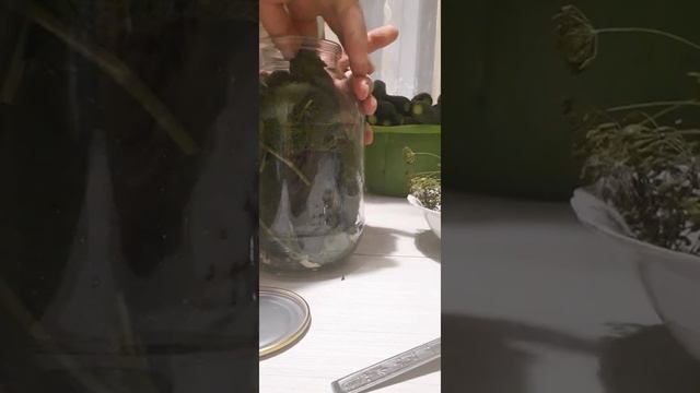 Вкусный рецепт ?маринованные огурцы? Попробуйте не пожалеете?