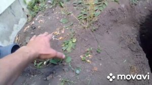 биосептик из пластиковых бочек своими руками