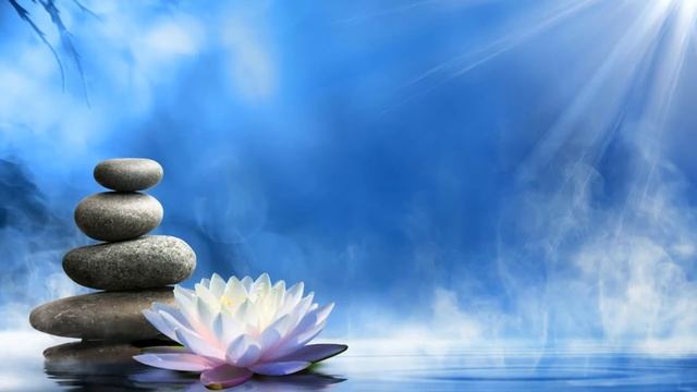 Медитация терпения и спокойствия смотреть онлайн