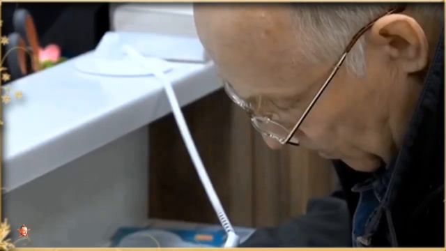 Путешествия и туризм