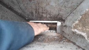 Дробилка веток, размеры.