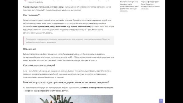 Домовенок Ремонтович