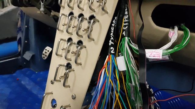 Волчонок из Пензы  Осталась Одна коса