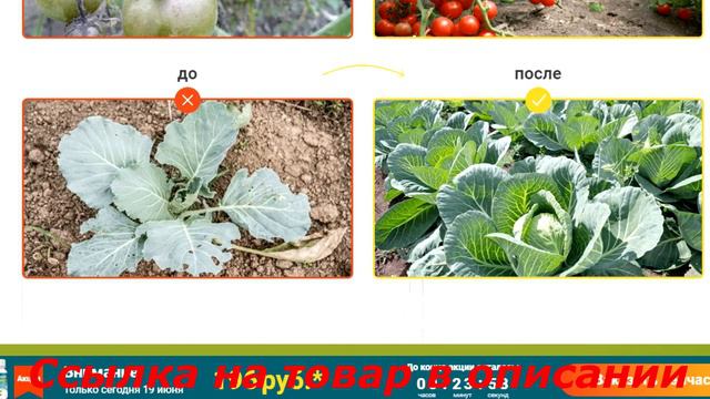 AgroUP удобрение для сада и огорода/описание, обзор, отзывы, заказать, купить.