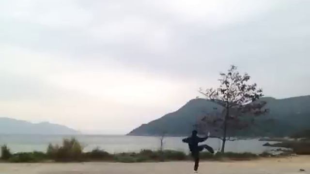 Chen Taiji Old Frame Routine I смотреть онлайн