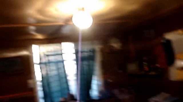 Хоста , ноябрь 2008 г смотреть онлайн