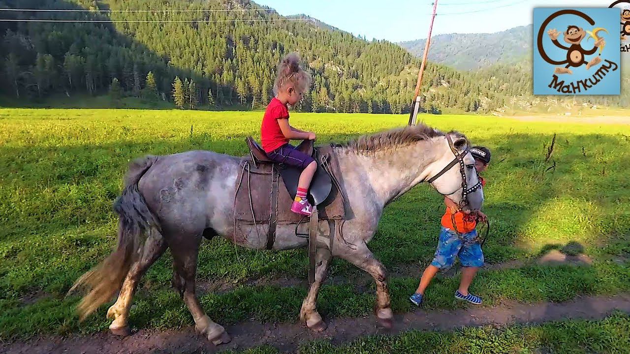 Дети и машина, верхом на лошади, горное озеро. Путешествие на горный Алтай Часть 2. МанкиТайм смотреть онлайн