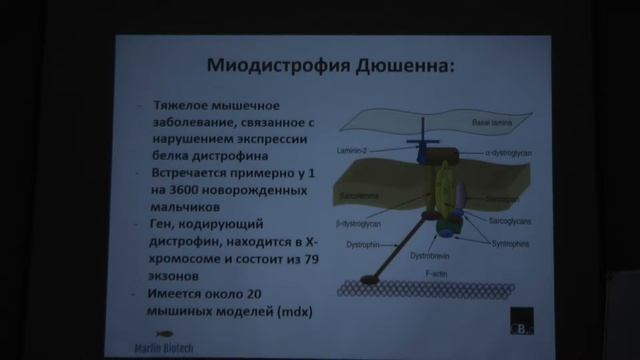 Редактирование генома CRISPR/Cas9