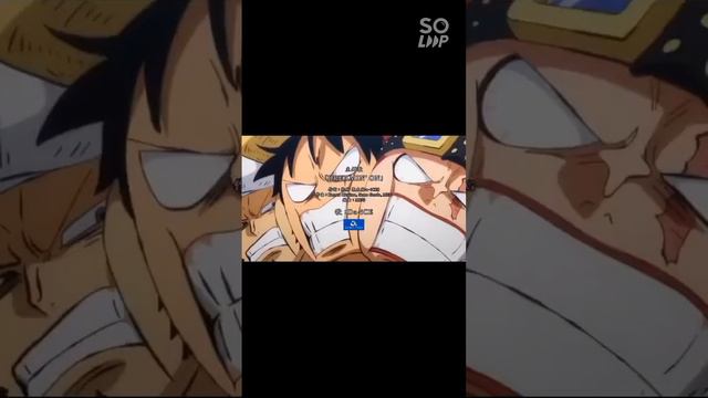 Ван пис опенг звук из черепашек ниндзя смотреть онлайн