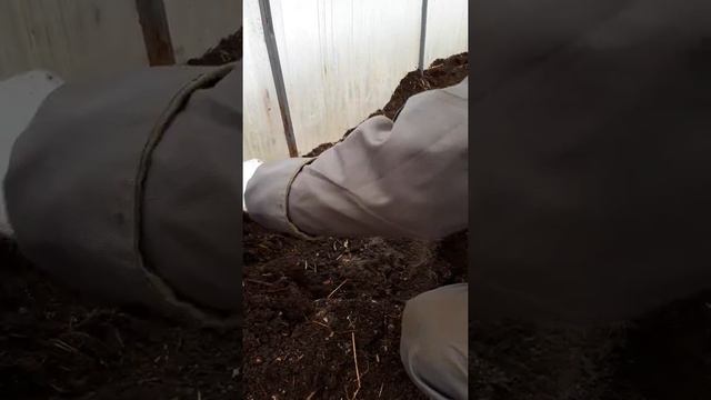 Грядки (короба в теплице) как сделать? смотреть онлайн