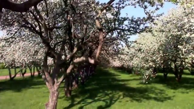 Я садовником умру смотреть онлайн