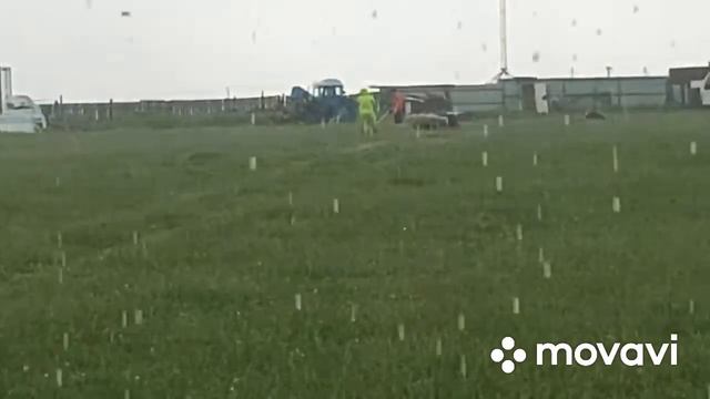Квалификационные состязания ТС-1 класс 13/06/2022 Борондучок, Нафани , судья Ирина Корогодова. смотреть онлайн