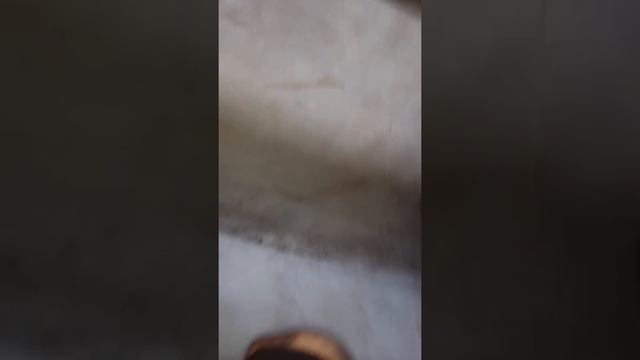 Срочно котел магнум 10,20,30 килловат ,халявная автоматика! смотреть онлайн
