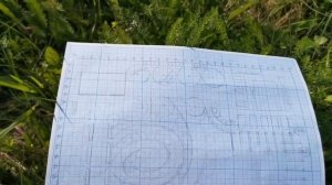 Пересадка розы с сохранением побегов