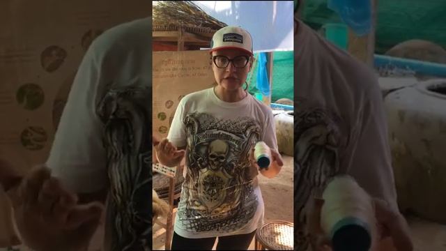 Модное путешествие с Тиссура