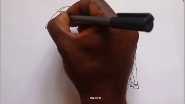 how to draw different animals drawing easy step by step@DrawingTalent смотреть онлайн