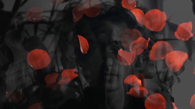 Shakespeare Sonnet 35, Michal Sikora, The Academy of Performing Arts in Prague, Czech Republic смотреть онлайн