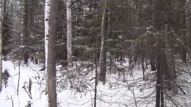 рг Раскат - не типичная охота. смотреть онлайн