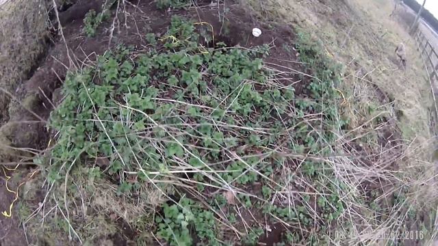 Ferreting смотреть онлайн