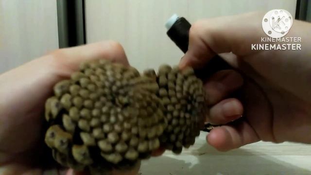Как сделать новогодние украшения из природного материала своими руками . Diy. смотреть онлайн
