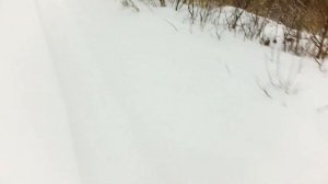 Самокат Velocifero Mad 1600w 48v RWD
