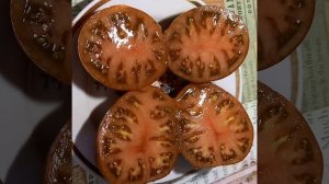 Томат БОЛЬШОЙ ПОЛОСАТЫЙ КАБАН в разрезе. Коллекционный сорт. Ярославская обл.