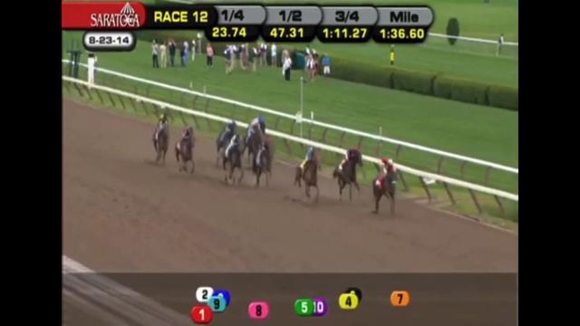 My Reaction To V. E. Day - 2014 Travers Stakes (G1) смотреть онлайн