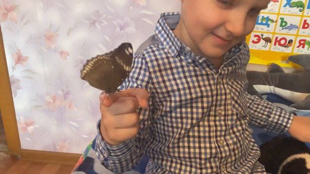 Что такое хорошо... В.Маяковский. Читает Святослав (5 лет) смотреть онлайн