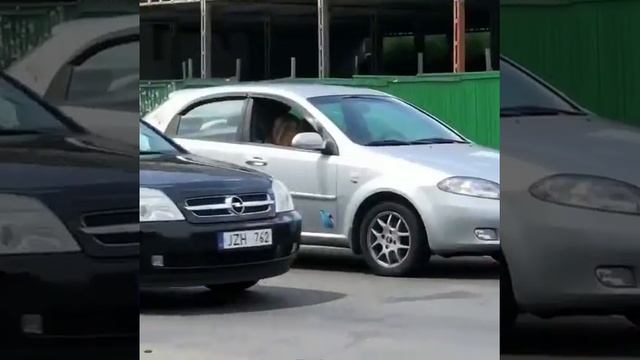 Игра замри смотреть онлайн