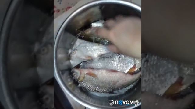 Как солить таранку правильно.