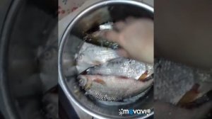 Как солить таранку правильно.