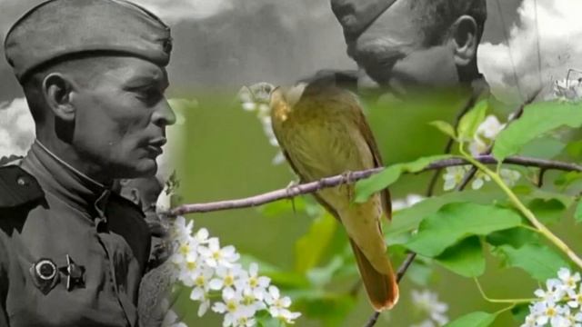 Поёт преподаватель Детской музыкальной школы № 6 города Новосибирска Игорь Пашиев. смотреть онлайн