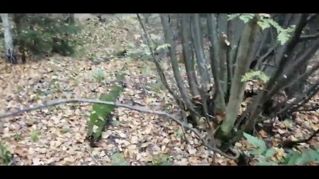 Экскурсия в село Никольское на Электровелосипеде смотреть онлайн