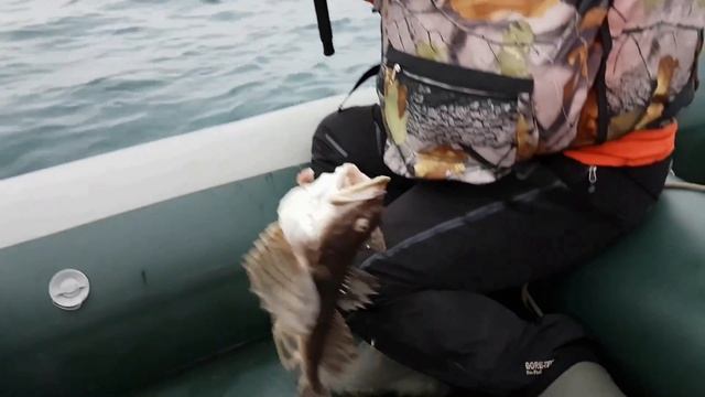 Камчатка. Рыба, икра и прочие деликатесы. смотреть онлайн