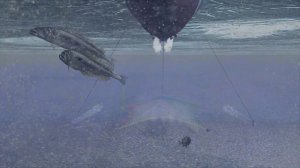 Бердянск – город с потрясающей историей